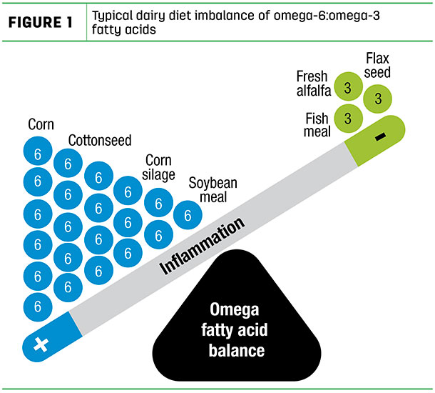Typical dairy diet imbalance of omega-6:omega-3 fatty acids
