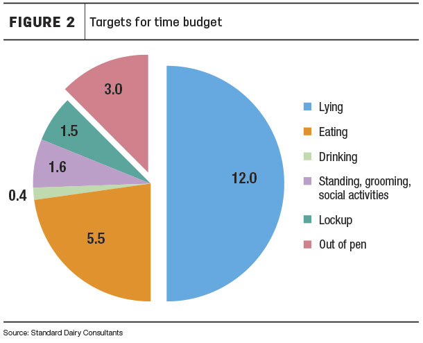 time budget target