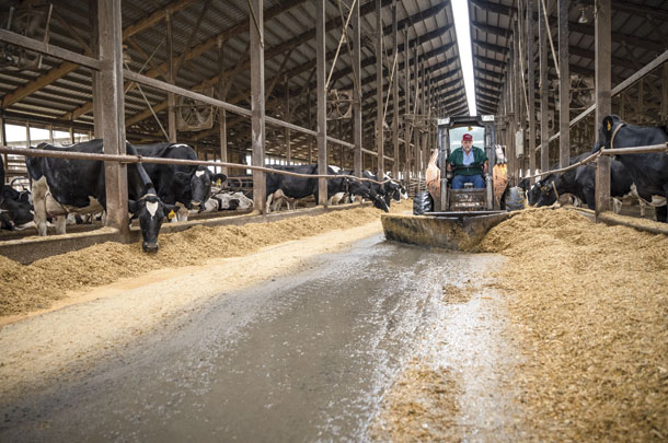 Your nutritionist can help make ration adjustments