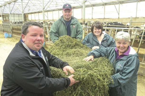 A focus on forages helps the Kestells