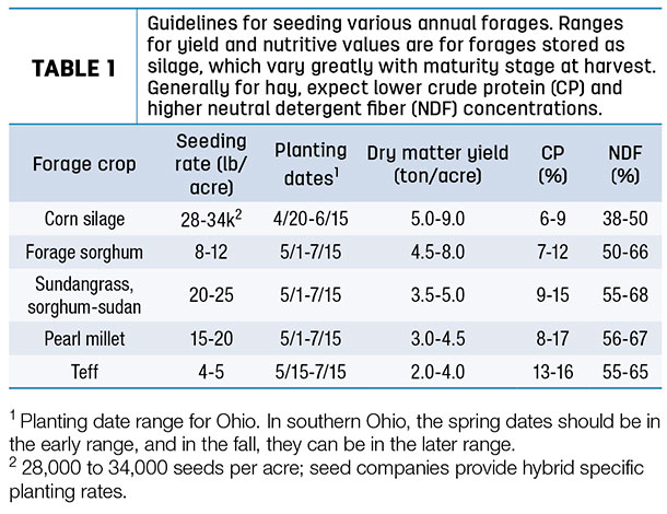 forage seeding