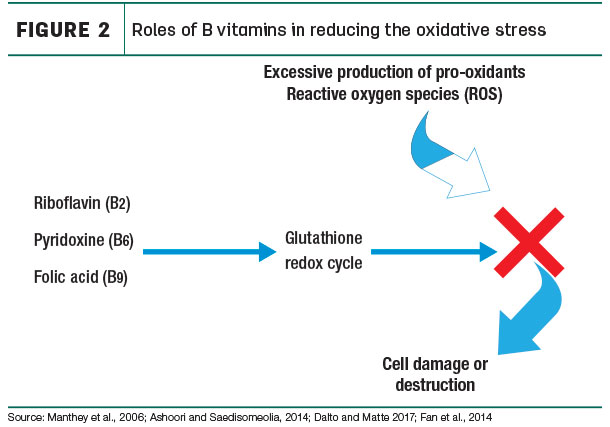Roles of B vitamins in reducing the axidative stress
