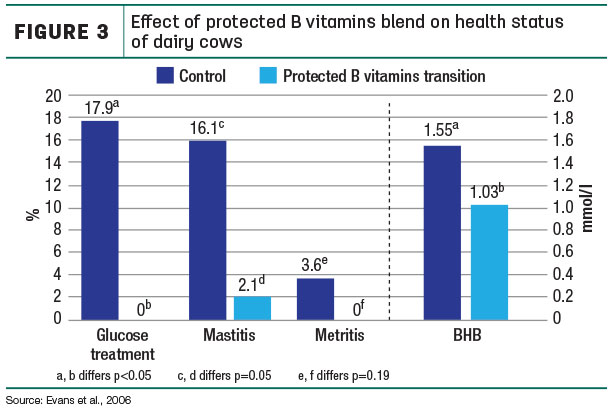 Effect of protected B vitamins blend on health status of dairy cows