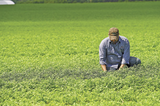 Crop management