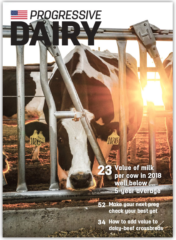 1119pd editorial cover