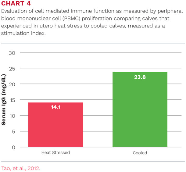 Evalustion of cell midiated immune function as measured by peripheral blood mononuclear cell