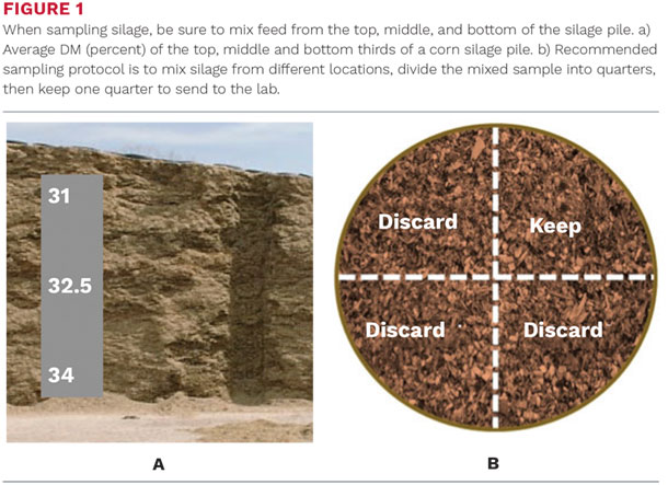 When sampling silage, be sure to mix feed from the top, middle and bottom of the silage pile