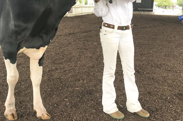 Walk in sync with your heifer