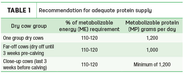 Recommendation for adequate protein supply