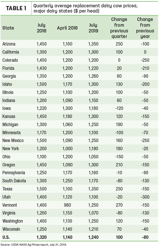 080219 natzke cow prices