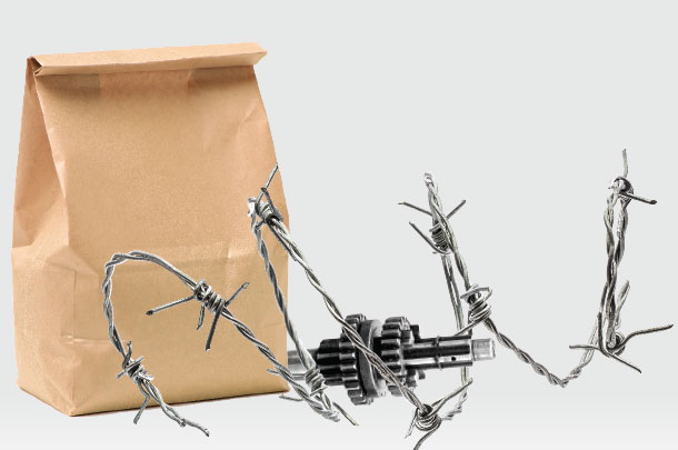 Bag and wire