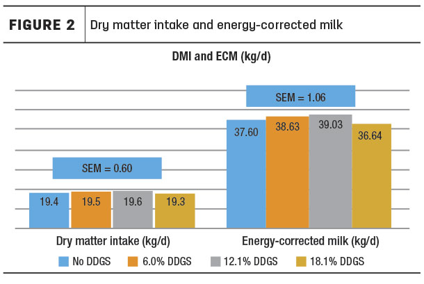 DM intake