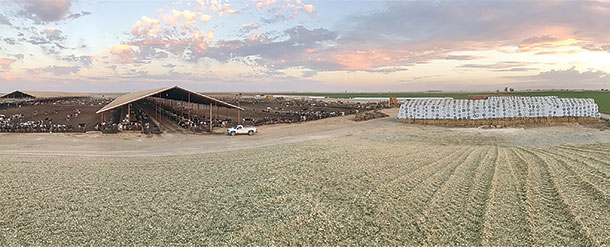 The Tony L. Lopes Dairy location