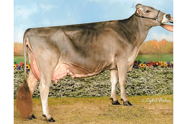 grassland speedy