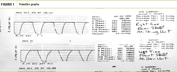 Pulsation graphs