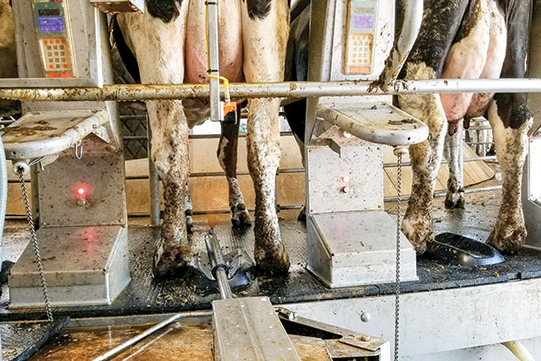 FutureCow post-dip teat sprayer