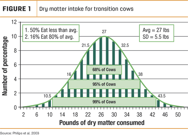 Dry matter intake for transition cows