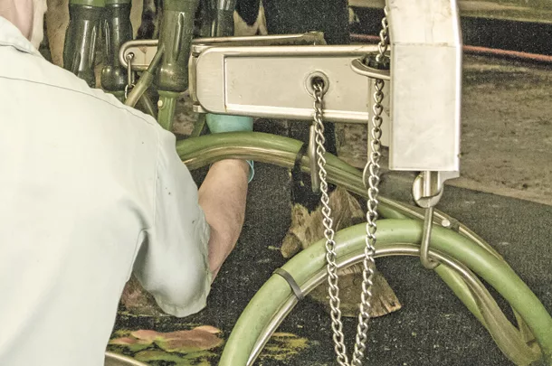 1719pd-turner-milking.jpg