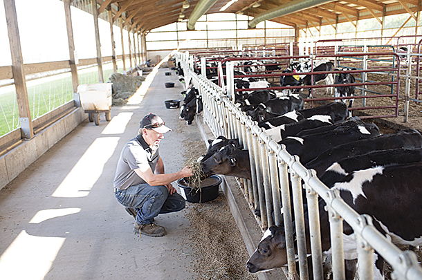 Jim Leick sets a heifer inventory goal of 25 calves per month