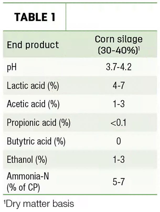 Corn silage fermentation analysis 