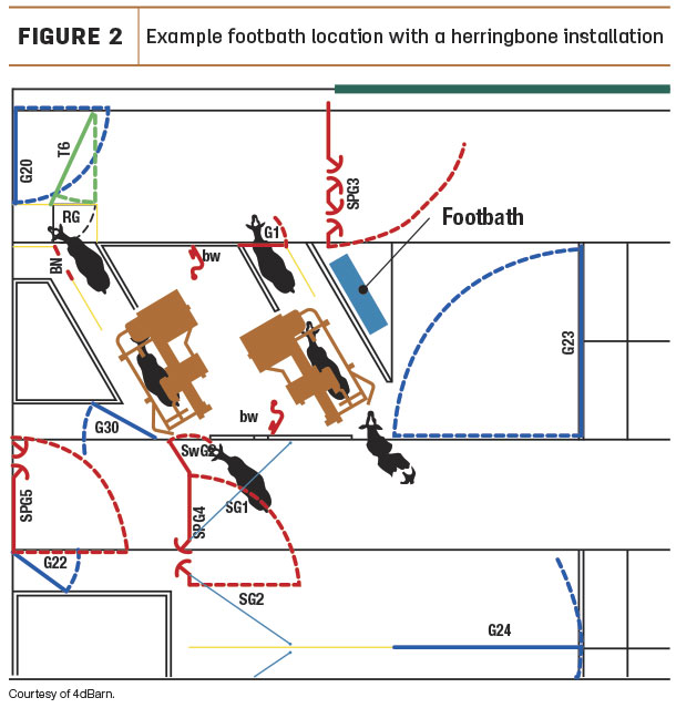 example footbath location with a herringbone installation