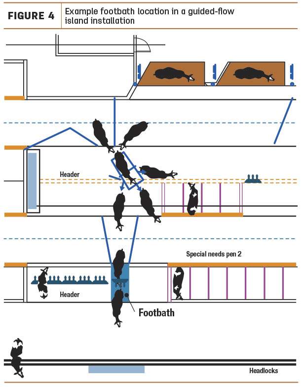 Example footbath location in a guided-flow island installation