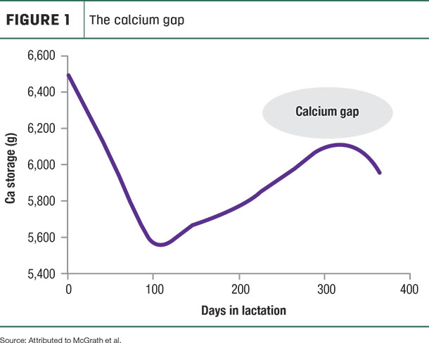 The calcium gap