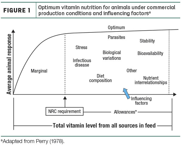 Optimum vitamin nutrition for animals under commercial production conditions 