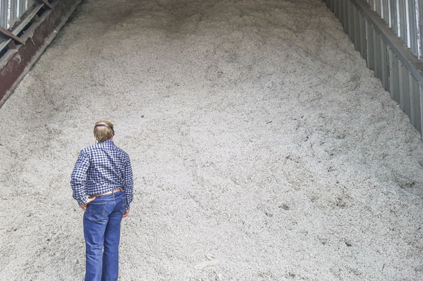 Scope and size of a cottonseed pile