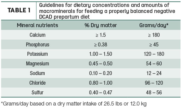 Guidelines for dietary concentrations and amounts of macrominerals for feeding
