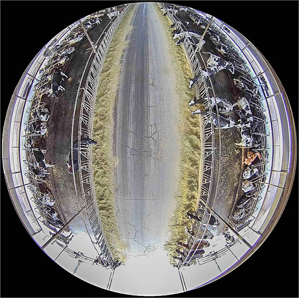 Camera view