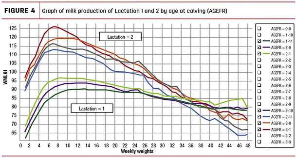 Graph of milk production of lactation 1 and 2 by age at calving