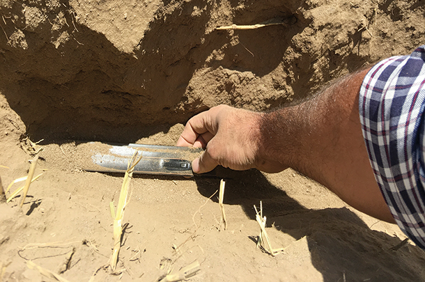 Buried subsurvace drip tape is used to carry manure mixed with fresh water
