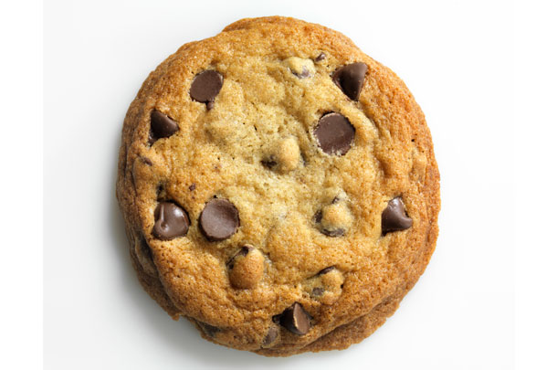 040620 chocolate chip cookie NOTTHAT