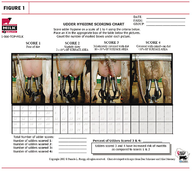 Udder hygene scoring chart