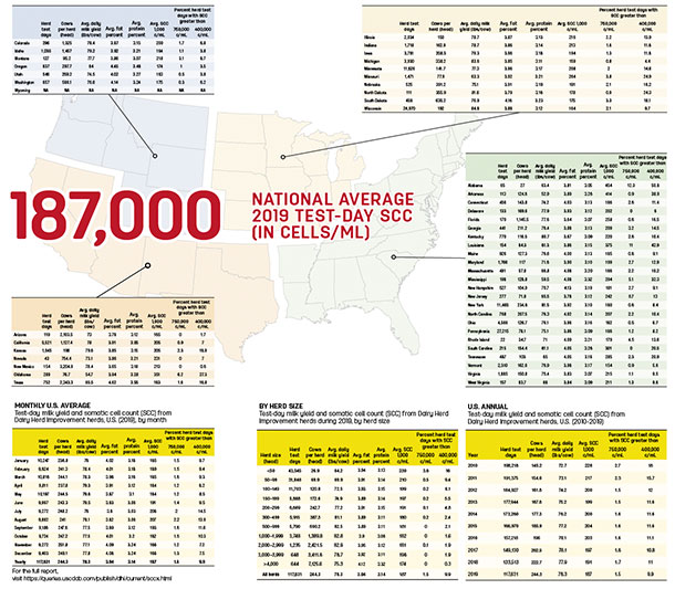 National average 2019 test-day SCC