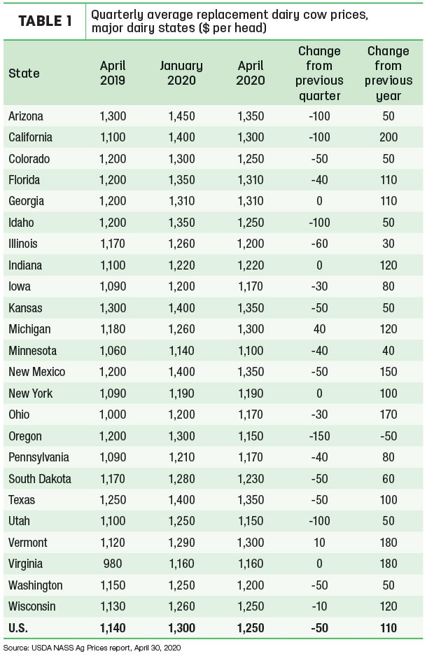 043020 natzke cow prices