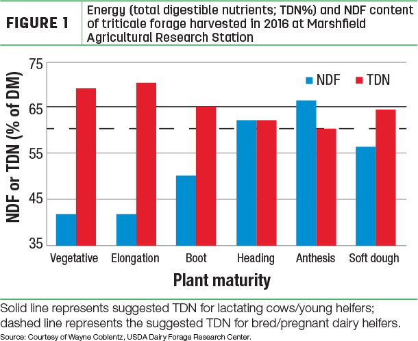 Energy total digestible nutrietns