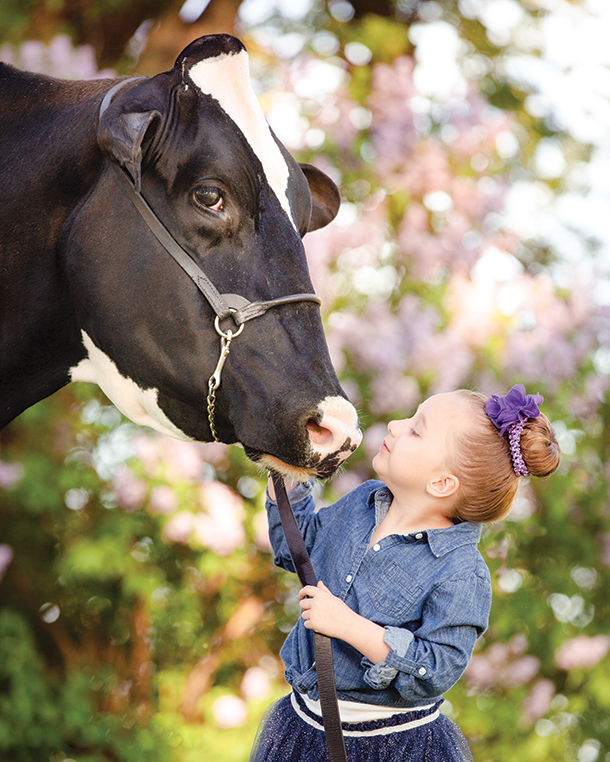 Girl and his cow photo