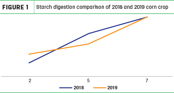 Starch digestion comparison of 2018 and 2019 corn crop