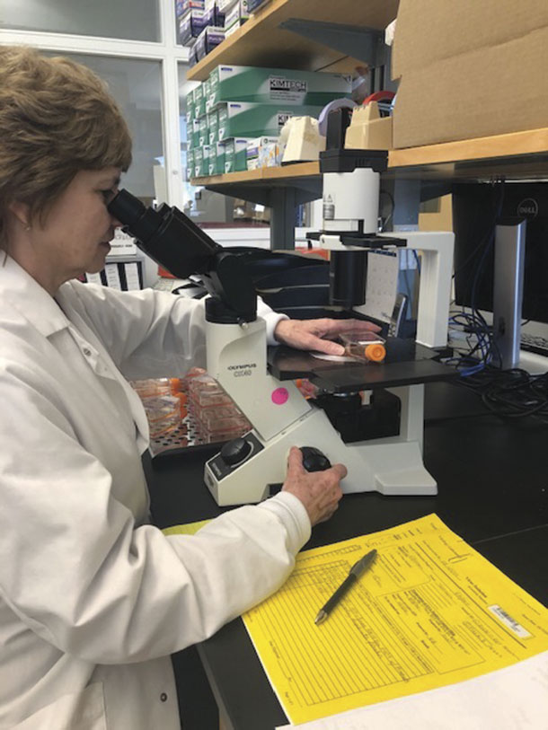 Lab tech examines a virus isolation flask