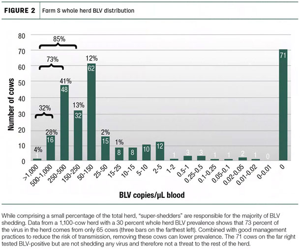 Farm S whole herd BLV distribution