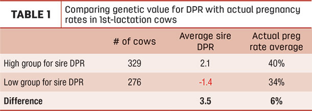 Comparing genetic value for DPR with actual pregnancy rates in 1st-lactation cows