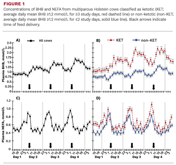 Concentration of BHB and NEFA from multiparous Holstein cows