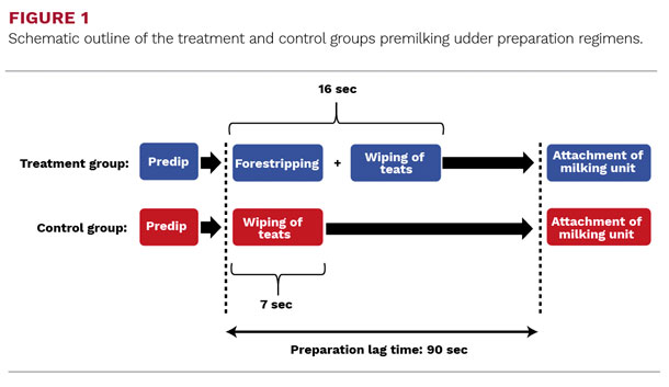 Schematic outline of the treatment and control groups premilking udder preparation regimens