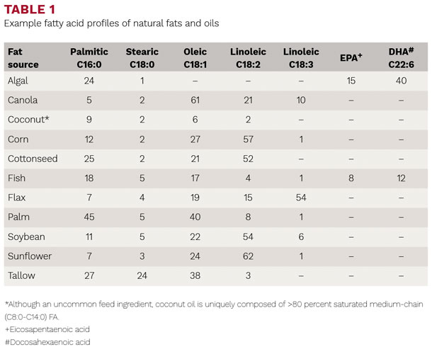 Example fatty acid profiles of natural fats and oils