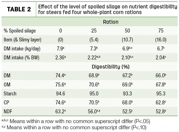 Effect of the level of spoiled silage on nutrient digestibility for steers fed four whole-plant corn rations