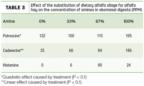 Effect of the substitution of dietary alfalfa a silage for alfalfa hay