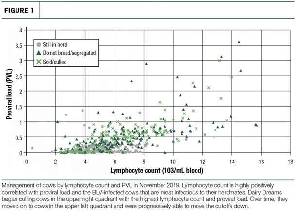 Lymphocyte count