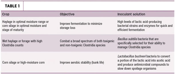'bacterial inoculants guide
